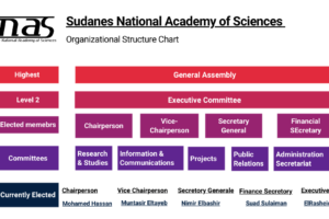 SNAS Organizational Structure