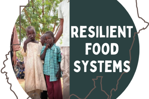 Supporting conflict-resilient food systems in Sudan