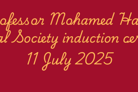 Professor Mohamed background